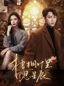 《梧桐叶里思星辰》:当梦想照进现实,青春的迷茫与救赎,谱写最动人的星光乐章!