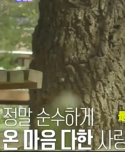 重返青春悸动！《再次初恋》：一部甜度超标的校园爱情喜剧