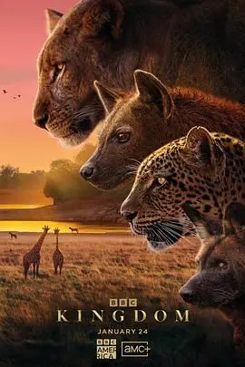 《动物王国(普通话版)》：隐喻现实的奇幻冒险，一场关于生存与反抗的深刻寓言！